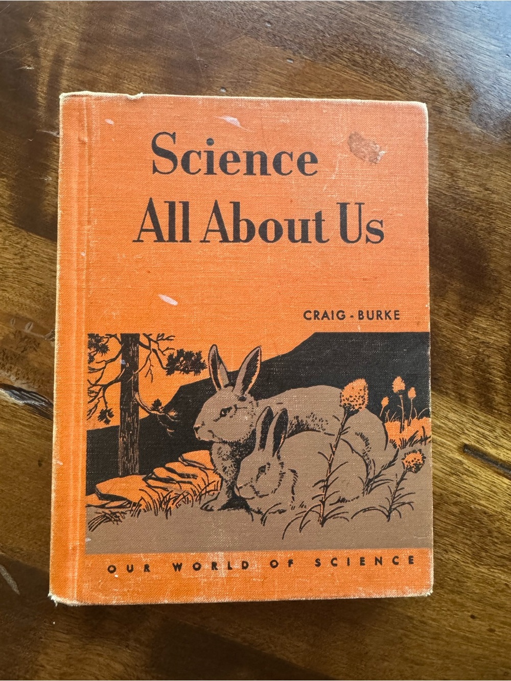 Vintage Children’s Book